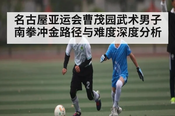 名古屋亚运会曹茂园武术男子南拳冲金路径与难度深度分析（kaiyun）