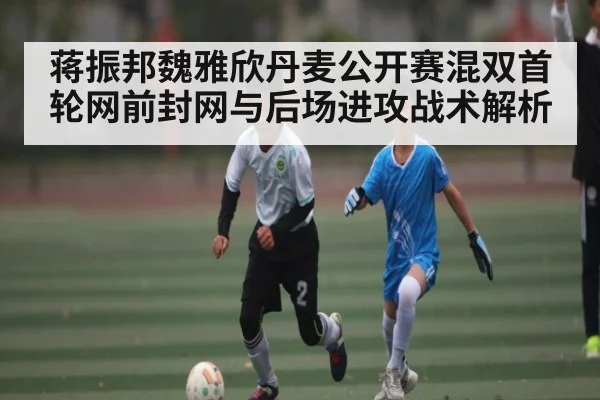 蒋振邦魏雅欣丹麦公开赛混双首轮网前封网与后场进攻战术解析 - kaiyun